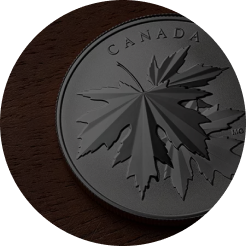 icon category Argent