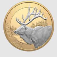 Pièce 20$ argent fin 2025 - Art animalier: Wapiti