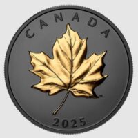 2025 $20 Fine Silver Coin - Gilded Elegant Maple